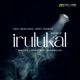 Irulukal Remix Version feat Basstides Jimmy Godrick Single