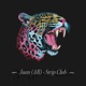 Strip Club Extended Mix Single
