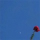 Memories Dreams EP