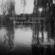 Weeping Willow Acoustic Single