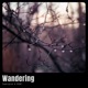 Wandering Single