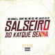 Salseiro do Kayque Senna feat Gree Cassua MC Julio D E R Single