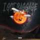 I Got Baggage Single