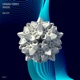 Sin City Single