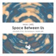 Space Between Us SALAZAR COL Remix Single