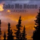 Take Me Home Instrumental Single