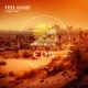 Feel Good Single
