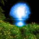 Island of Solitude Single