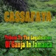 Tribute to the Legalisation of Ganja in Jamaica Single