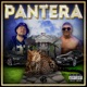 PANTERA Single