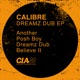 Dreamz Dub EP