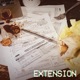 Extension More Chill Beats To File Your Taxes To