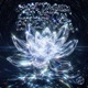 Montagem Celestial Esperanza EP