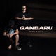 Ganbaru Single
