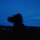 I Won t Forget You Single