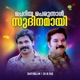 Cheriya Perunnal Sudhinamaay Single
