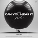 Can You Hear It Now Single