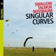 Singular Curves