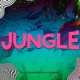 Jungle feat Brandão Vip Mix Single