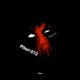 Pitori 012 Single