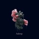 Asleep feat SILKIN Single