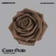 CUORE GRATO Acoustic Single