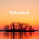 Nylonsoul Single