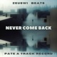 Never Come Back Single