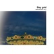 Stay Gold feat sO y Single