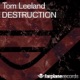 Destruction Original Mix Single