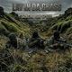 Lay In Da Grass Single