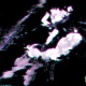 Shibuya Flintlock feat Flowerboydemii Single