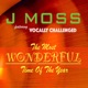 The Most Wonderful Time of the Year Single