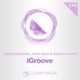 iGroove Single