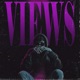 Views Single