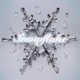Snowflake Single