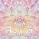 Flower Single