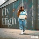 Fly High feat Pettidee Single