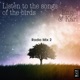 Listen to the Songs of the Birds Radio Mix 2 Radio Mix 2 Single