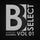 Brobot Select Vol 1 Mixed By Blaqwell