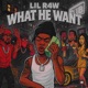 What He Want Single