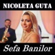 Sefa Banilor Single