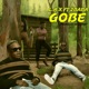 Gobe feat 2Baba Single