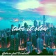 Take It Slow feat Birdriot Single