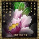 Infinity ANNA remix Single