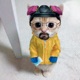Walter Single