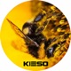 Fresh Love Single