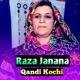 Raza Janana Single