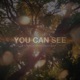 You Can See Single