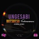 Ungesabi feat Botsotso Ayanda Momoe Kbrilliant Single